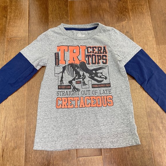 Lot of 7 Boys Long Sleeve Tees sz 5, 4-6, 6 - Picture 10 of 13